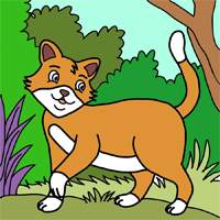 A cat 1