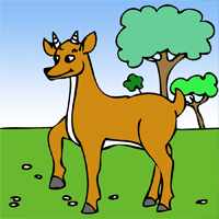A deer