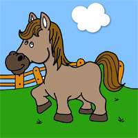 A horse