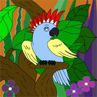 A parrot