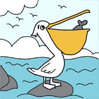 A pelican