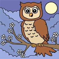 An owl