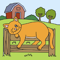 A cat-1