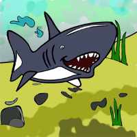 A shark-2
