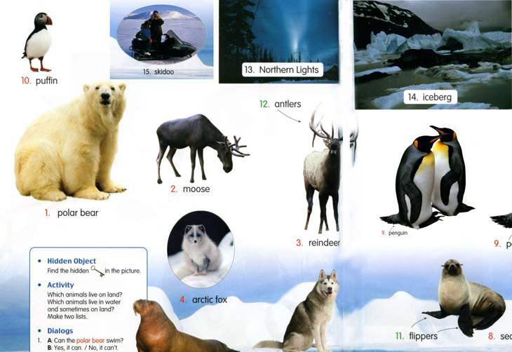 35.polar