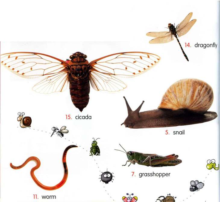 44.bugs