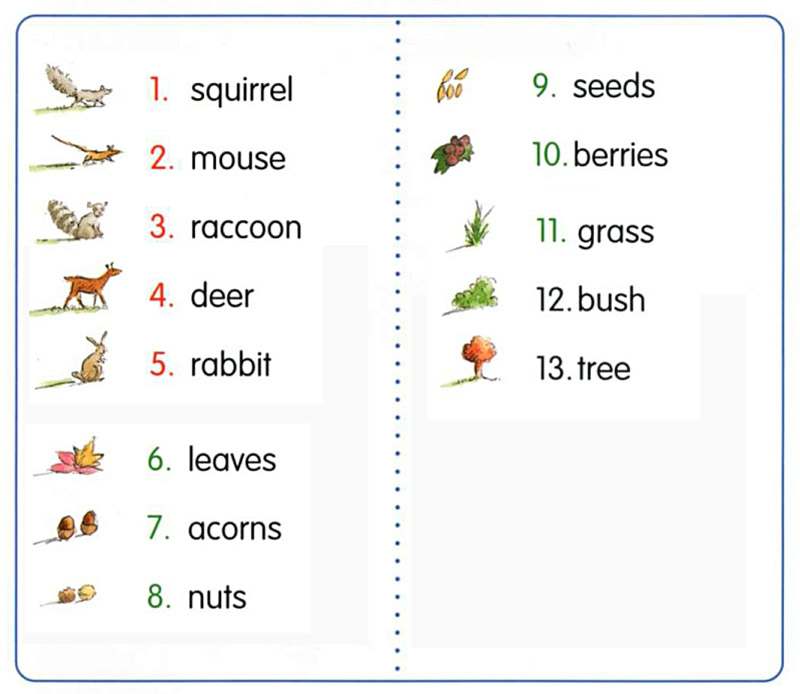 forest words