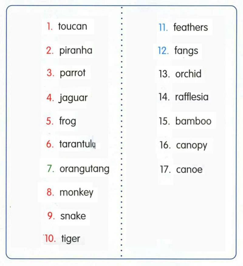 34 tropical rainforests