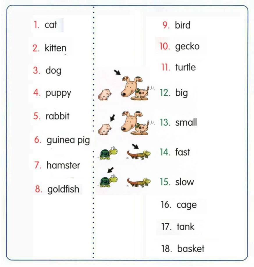 43 pets