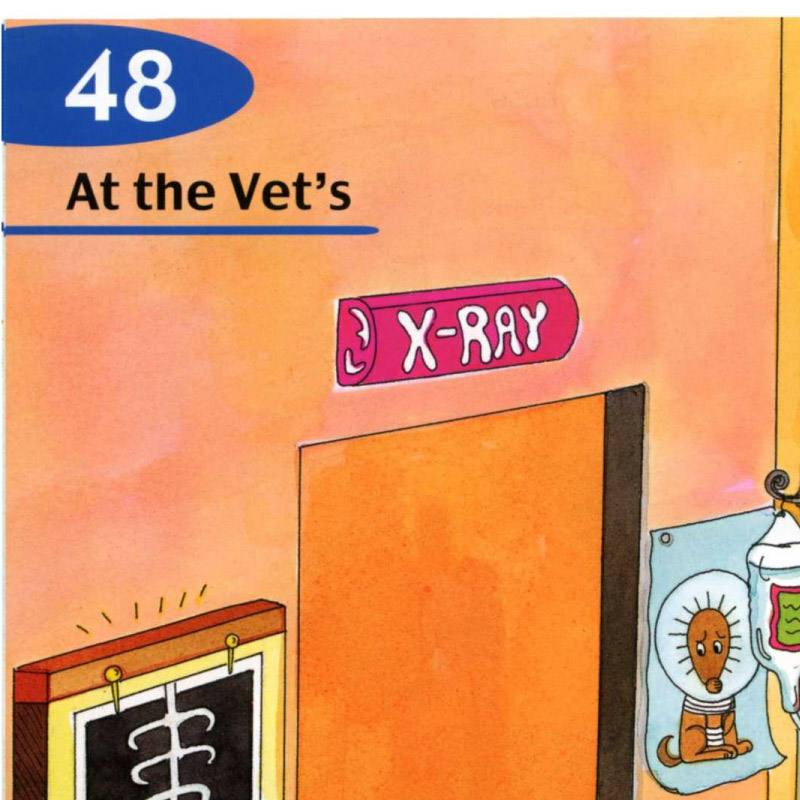 48 vet s