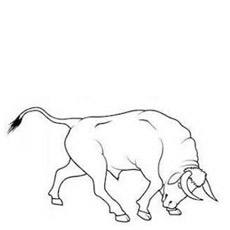 camel b