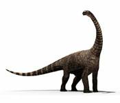 dinosaur 1 brontosaur s