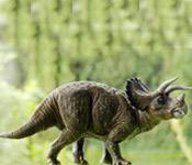 dinosaur 5 ankylosaurus s