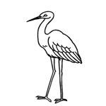 Crane