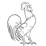 Rooster