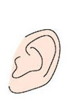 ear shape