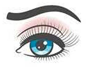 eyebrow