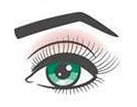 eyebrow
