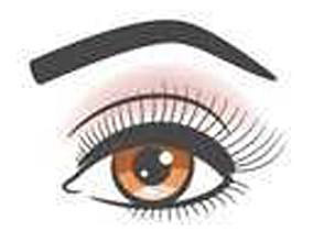 eyebrow