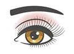 eyebrow
