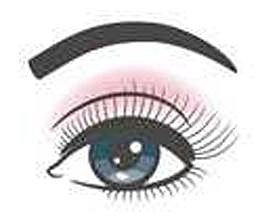 eyebrow