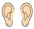 06ears