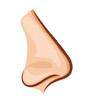 07nose