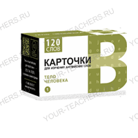 Тело человека