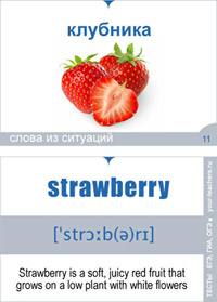 situ strawberry 200