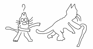 019 01